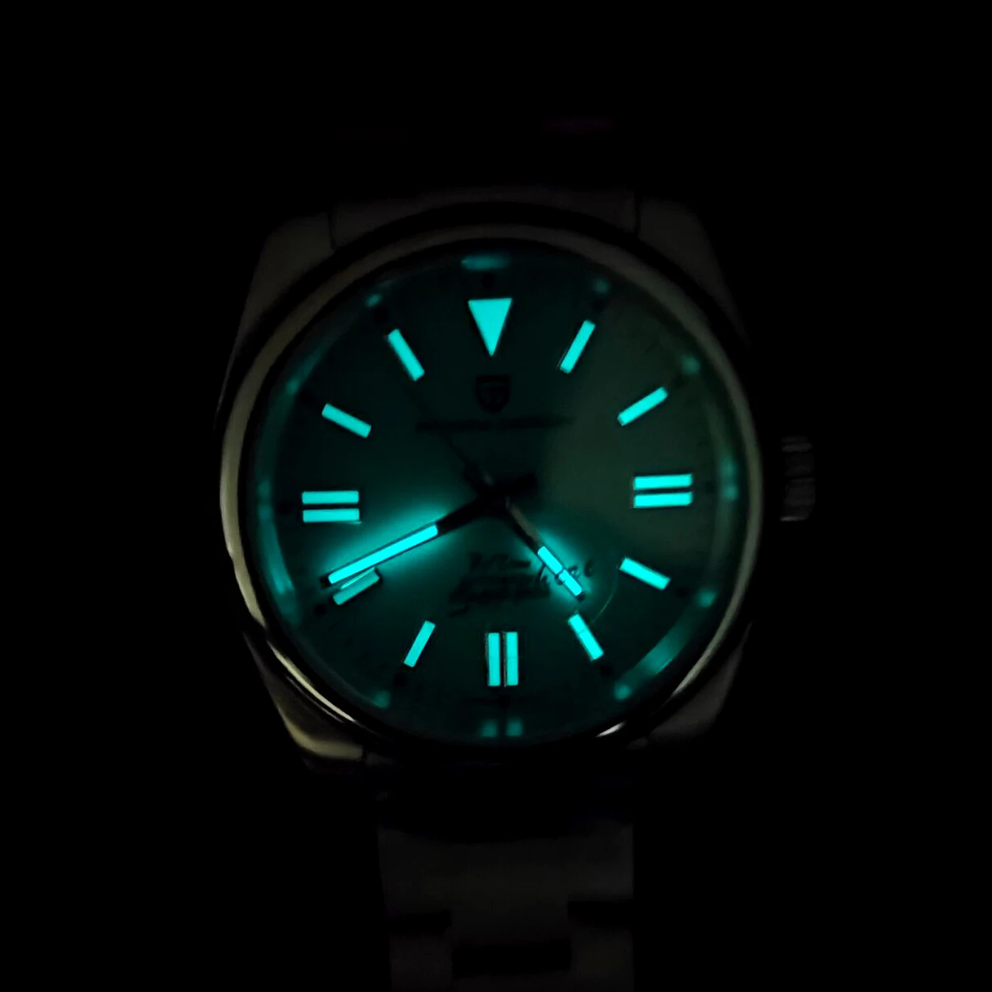 PAGANI DESIGN Luxe klassieke m - Luxury Watch Store recensie en prijs