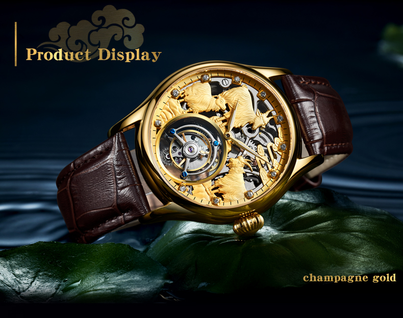 AESOP (handleiding 7008G) Prem - Zodiac Luxury Watch recensie en prijs