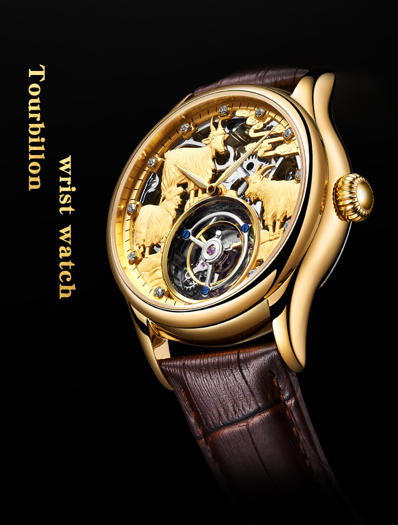 AESOP (handleiding 7008G) Prem - Zodiac Luxury Watch recensie en prijs